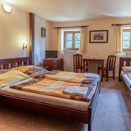 Guest house Hajenka Knizeci Plane