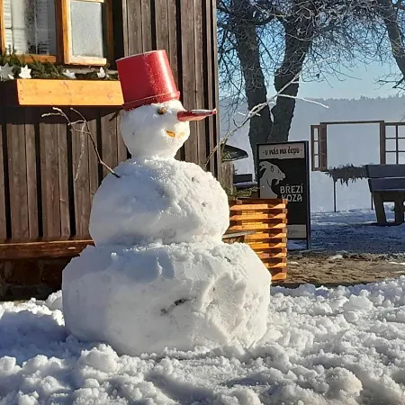Hajenka Knizeci Plane Guest house Borova Lada