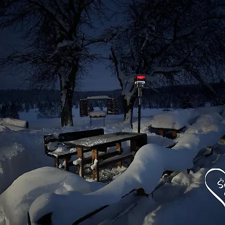 Gasthof Hajenka Knizeci Plane