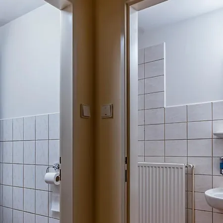 Hajenka Knizeci Plane Borová Lada
