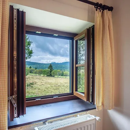 Hajenka Knizeci Plane Gasthof Borová Lada