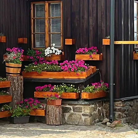 Hajenka Knizeci Plane Maison d'hôtes Borová Lada