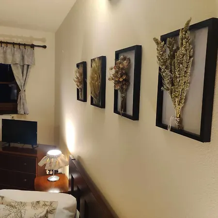 Hajenka Knizeci Plane Guest house *