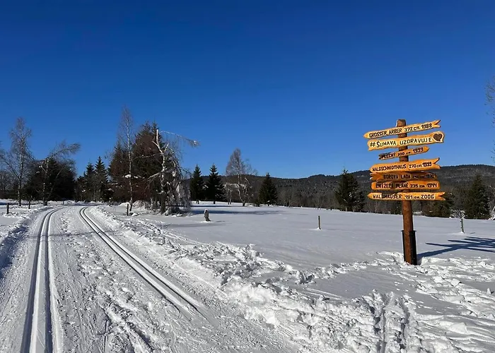 Hajenka Knizeci Plane 3* Borová Lada