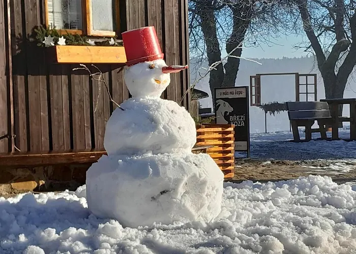 Hajenka Knizeci Plane Pensionat Borová Lada